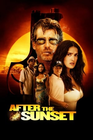 After The Sunset (2004) Hindi Dual Audio | Hindi Dubbed Movie BluRay [780MB]