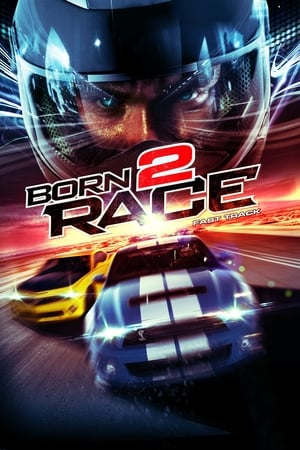 Born to Race Fast Track 2014 Hindi Dual Audio | Hindi Dubbed Movie BluRay [840MB]