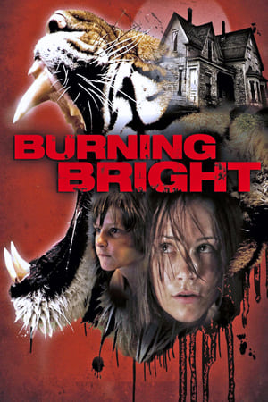Burning Bright (2010) Hindi Dual Audio | Hindi Dubbed Movie BluRay [750MB]