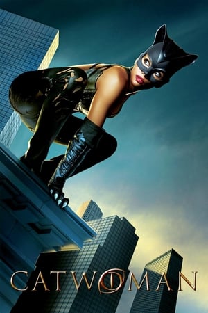 Catwoman (2004) Hindi Dual Audio | Hindi Dubbed Movie BDRip 400MB