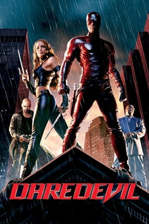 Daredevil (2003) Hindi Dual Audio | Hindi Dubbed Movie BDRip [880MB]