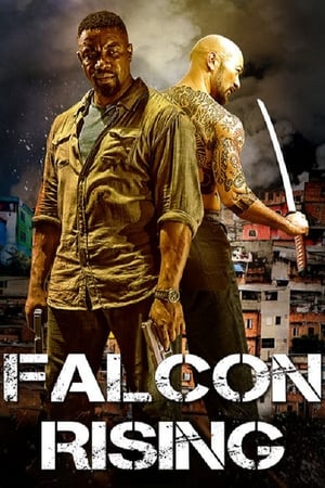 Falcon Rising (2014) Hindi Dual Audio | Hindi Dubbed Movie BluRay [980MB]