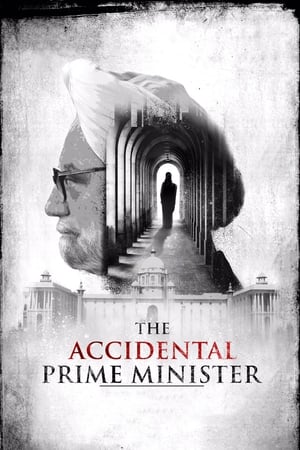 The Accidental Prime Minister (2019) Hindi Movie | Hindi Dubbed Movie HDRip - [400MB]