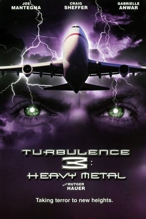 Turbulence 3 Heavy Metal 2001 Hindi Dual Audio | Hindi Dubbed Movie Web-DL [1GB]